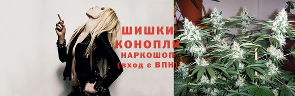 трава Костерёво