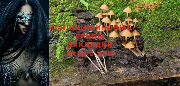 a pvp Козловка