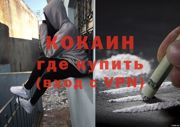 прущие грибы Козельск