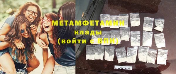прущие грибы Козельск
