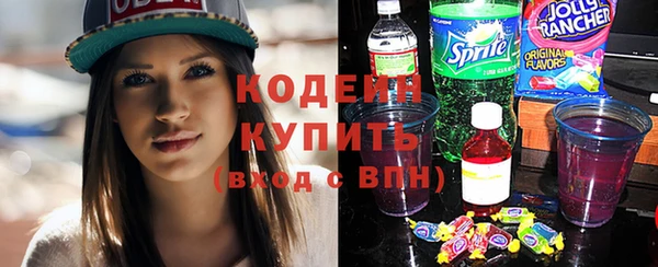 прущие грибы Козельск
