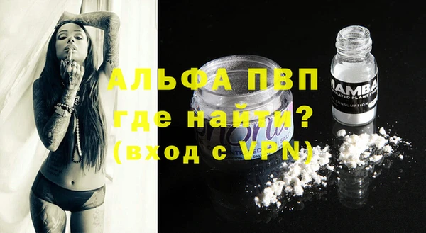 прущие грибы Козельск