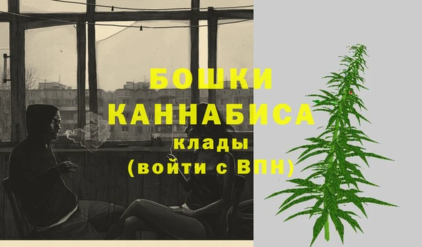 прущие грибы Козельск