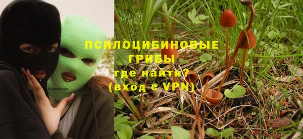 a pvp Козловка