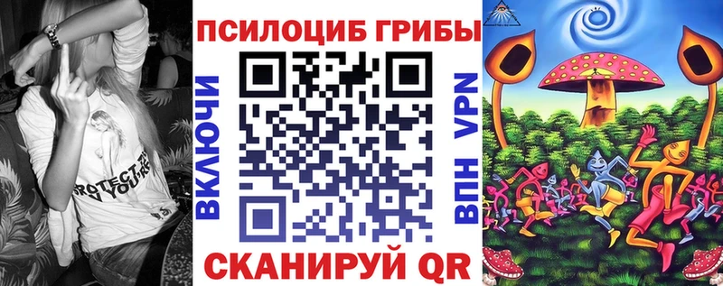 Псилоцибиновые грибы мицелий  Купить  Солнечногорск 